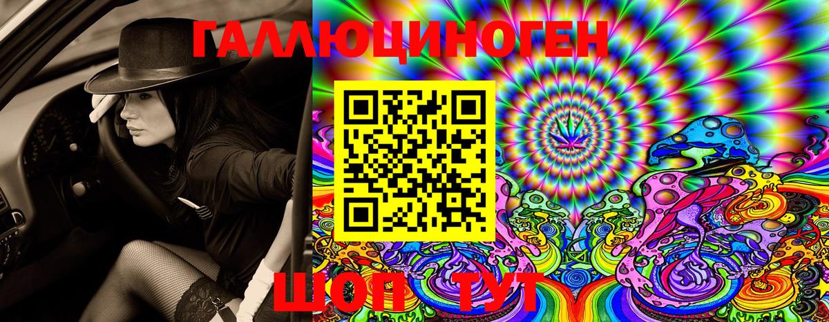 Псилоцибиновые грибы прущие грибы Балтийск